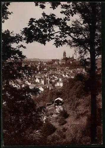 Fotografie Brück & Sohn Meissen, Ansicht Meissen i. Sa., Blick vom Stadtpark auf die Stadt