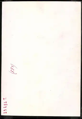 Fotografie Brück & Sohn Meissen, Ansicht Meissen i. Sa., Blick vom Stadtpark auf die Stadt