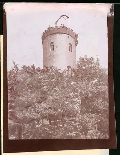 Fotografie Brück & Sohn Meissen, Ansicht Collmberg b. Oschatz, Blicka uf den Aussichtsturm auf dem Collmberg