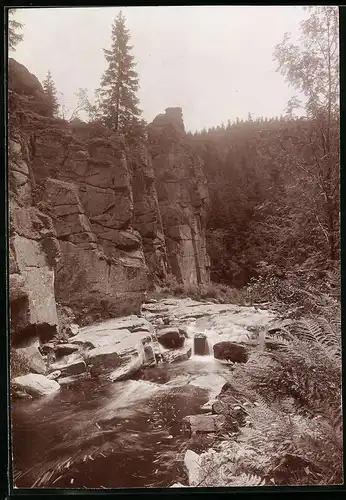 Fotografie Brück & Sohn Meissen, Ansicht Marienberg i. Sa., Partie an der Teufelsmauer im Schwarzwassertal