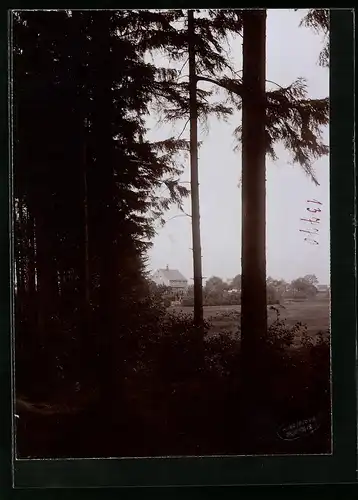 Fotografie Brück & Sohn Meissen, Ansicht Freiberg i. Sa., Blick aus dem Wald zum Wald Cafe