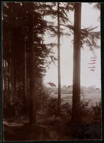 Fotografie Brück & Sohn Meissen, Ansicht Freiberg i. Sa., Blick nach dem Wald Cafe