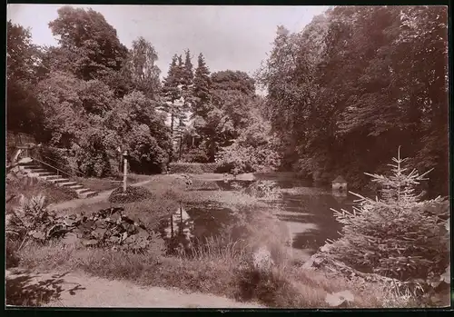 Fotografie Brück & Sohn Meissen, Ansicht Dahlen, Teich im Schlosspark