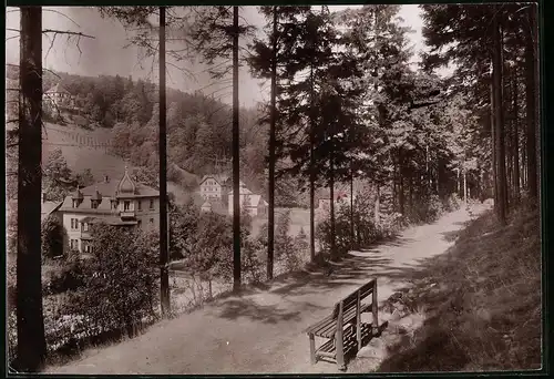 Fotografie Brück & Sohn Meissen, Ansicht Kipsdorf, Villen vom Waldweg gesehen