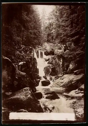 Fotografie Brück & Sohn Meissen, Ansicht Wernigerode, Steinerne Renne