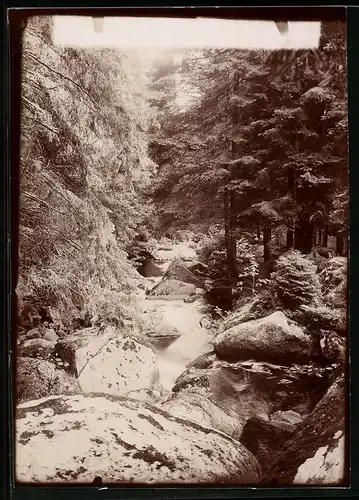 Fotografie Brück & Sohn Meissen, Ansicht Wernigerode, Steinerne Renne