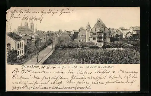 AK Geisenheim, Winkler Landstrasse mit Schloss Schönborn