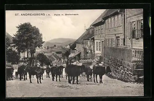 AK St. Andreasberg i. H., Partie mit Kühen in der Breitestrasse