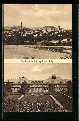 AK Gross-Schweidnitz, Landesanstalt, Ortspartie