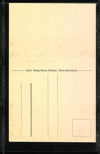 AK Gross-Schweidnitz, Landesanstalt, Ortspartie
