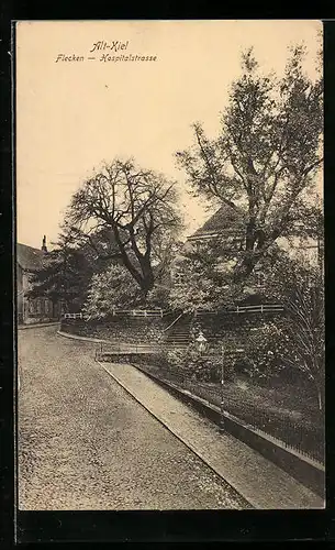 AK Alt-Kiel, Flecken, Hospitalstrasse mit Bäumen