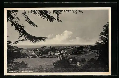 AK Grunbach / Schwarzwald, Totale vom Berg aus gesehen