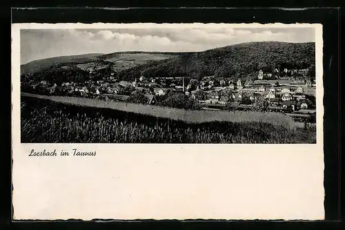 AK Lorsbach / Taunus, Gesamtansicht