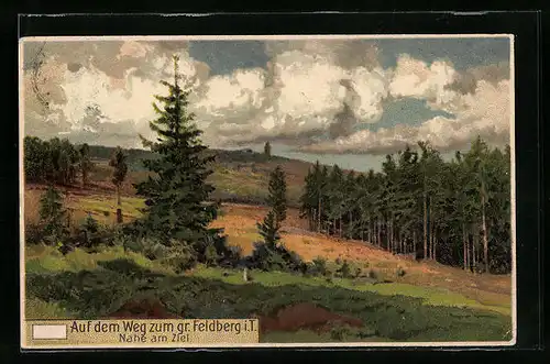 AK Feldberg i. T., Landschaftsidylle am Gr. Feldberg