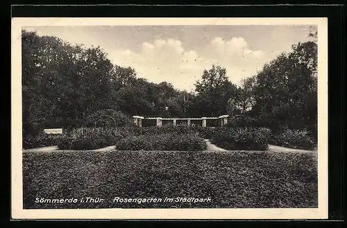 AK Sömmerda i. Thür., Rosengarten im Stadtpark