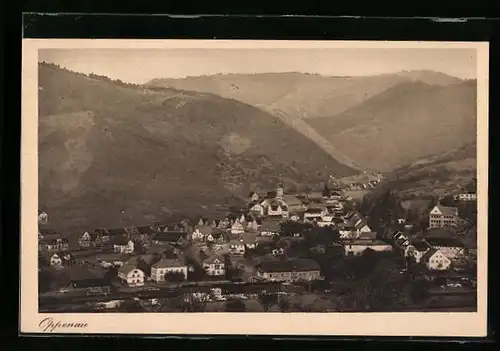 AK Oppenau / Renchtal, Totale aus der Vogelschau