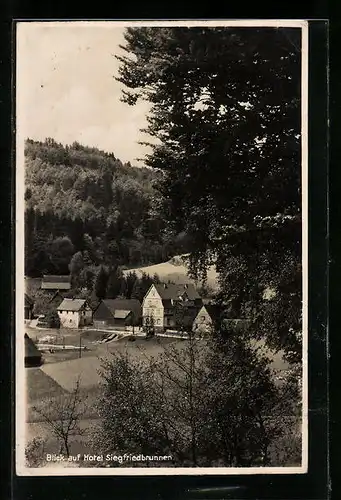 AK Gras-Ellenbach i. Odw., Hotel Siegfriedbrunnen