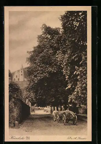 AK Zwingenberg / Hessen, Heimkerh einer Bäuerin mit Rinderwagen