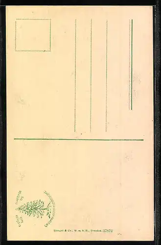 AK Okertal, Partie am Okerwasserfall