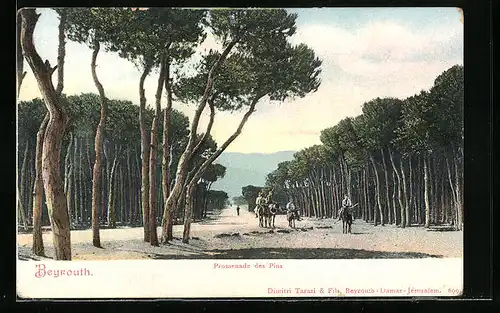 AK Beyrouth, Promenade des Pins