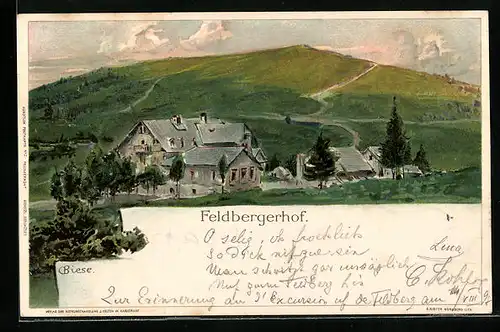 Künstler-AK Carl Biese: Feldbergerhof, Panorama
