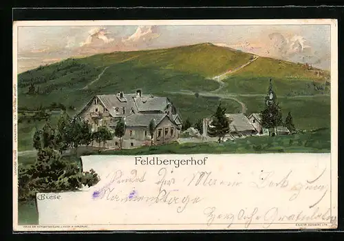 Künstler-AK Carl Biese: Feldbergerhof, Panorama