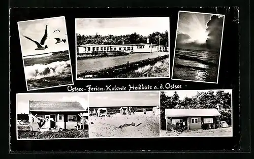 AK Heidkate a. d. Ostsee, Ferienkolonie mit Strandleben