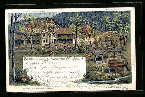 Lithographie Winterthur, Gasthaus Bruderhaus, Wildgehege