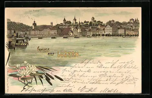 Lithographie Luzern, Die Altstadt, Seerosen