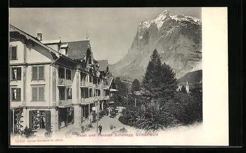 AK Grindelwald, Hotel und Pension Schönegg
