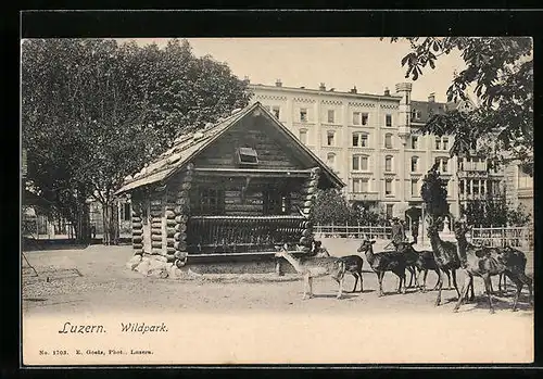 AK Luzern, Partie im Wildpark