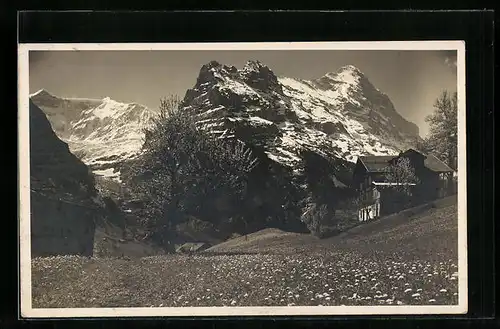 AK Grindelwald, Pension Alpenblick mit Fiescherhörner und Eiger