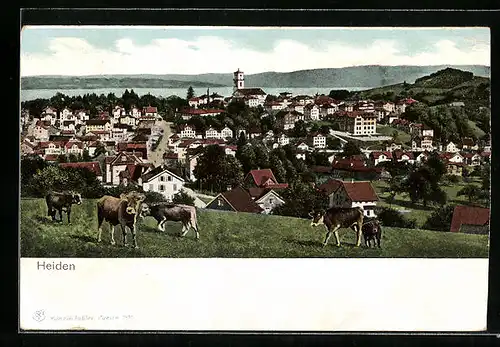 AK Heiden, Weidende Kühe vor den Toren der Stadt