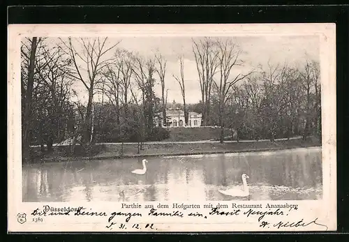 AK Düsseldorf, Partie aus dem Hofgarten mit dem Restaurant Ananasberg