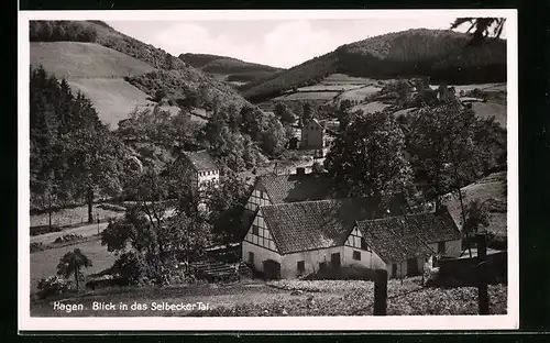 AK Hagen, Blick in das Selbecker Tal