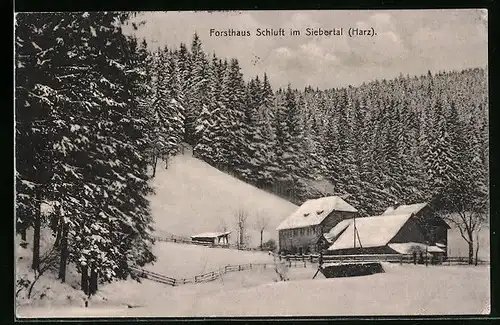 AK St. Andreasberg (Harz), Forsthaus Schluft im Siebertal