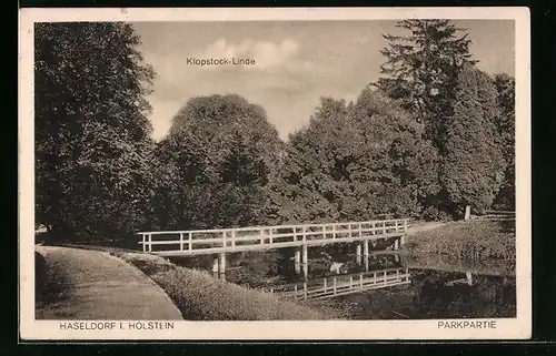 AK Haseldorf i. Holstein, Klopstock-Linde