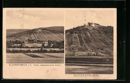AK Kleinheubach am Main, Fürstl. Löwenstein`sches Schloss und Kloster Engelberg