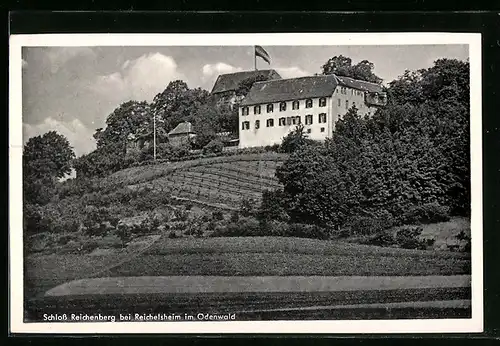 AK Reichelsheim / Odenwald, Schloss Reichenberg