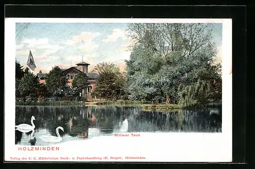 AK Holzminden, Schwanenpartie auf dem Mittleren Teich