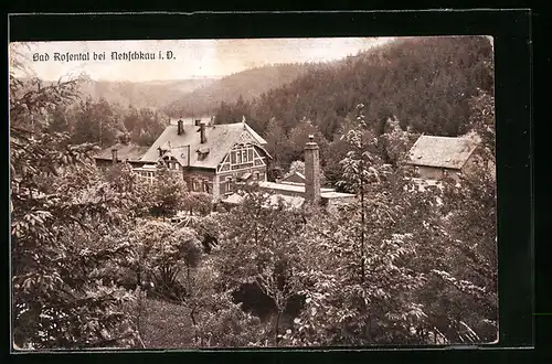 AK Netzschkau i. V., Hotel Bad Rosental