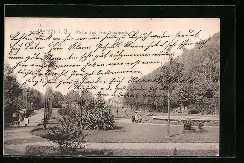AK Werdau i. S., Partie aus dem Stadtpark