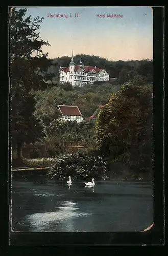 AK Ilsenburg i. H., Blick auf das Hotel Waldhöhe