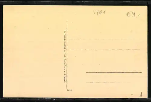 AK Brodenbach / Mosel, Gasthaus zur Post, Totale mit Gebirgswand