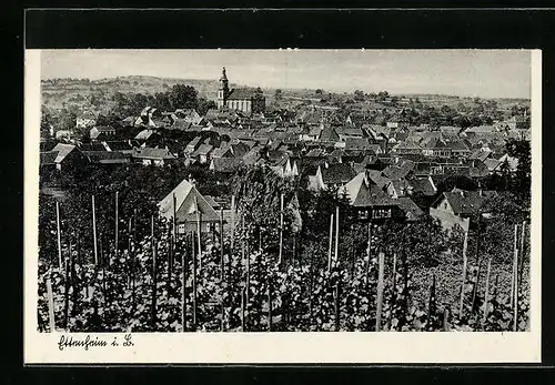 AK Ettenheim i. L., Gesamtansicht