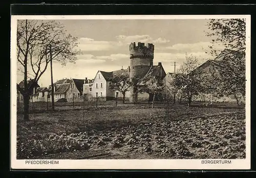 AK Pfeddersheim, Blick zum Bürgerturm