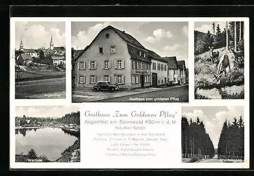 AK Argenthal am Soonwald, Gasthaus Zum Goldenen Pflug, Waldsee & Waldeingang