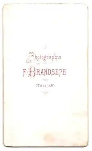 Fotografie F. Brandseph, Stuttgart, Junge Dame mit Hochsteckfrisur