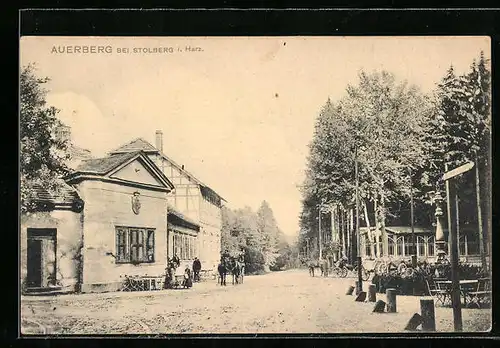 AK Stolberg / Harz, am Gasthaus Auerberg