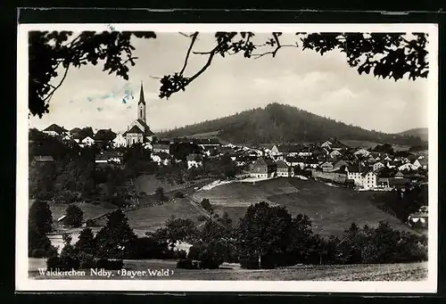 AK Waldkirchen / Ndby., Gesamtansicht